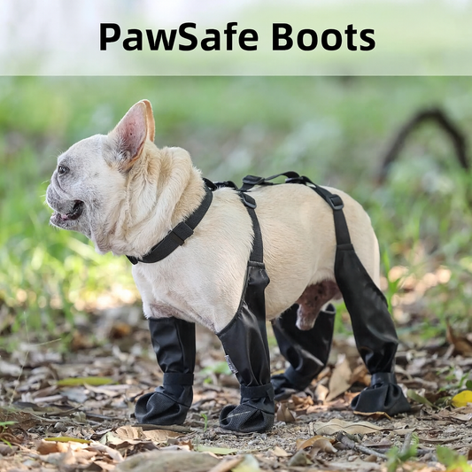 PawSafe Boots